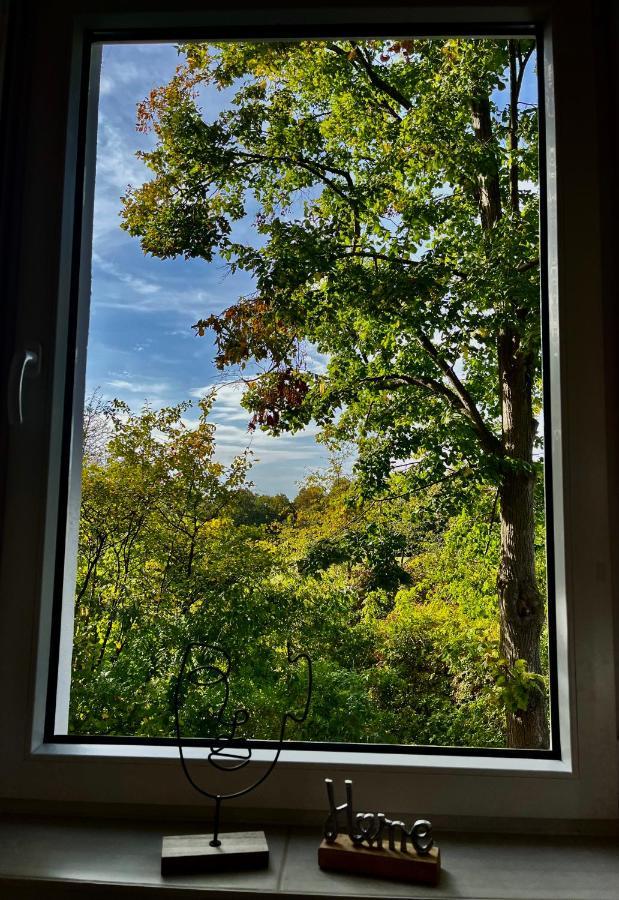 Moderne Wohlfuehl-Wohnung In Troisdorf Altenrath Esterno foto